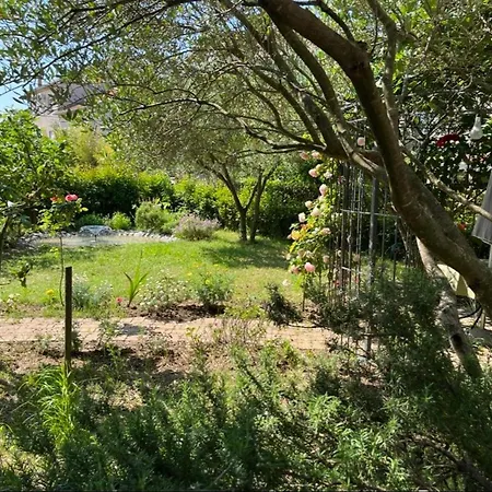 Studio Elena Apartment *